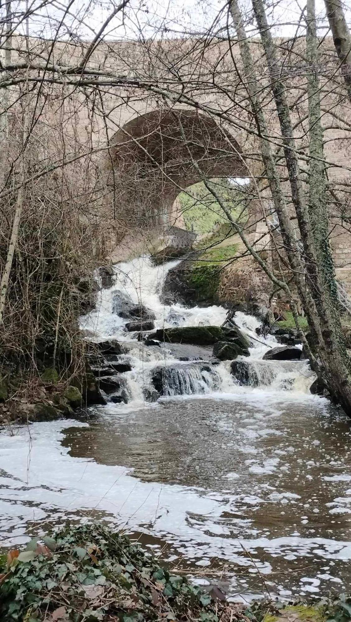 Gite "La Petite" Saint-Benoit-du-Sault Extérieur photo